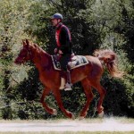 selle equitation hugues petel