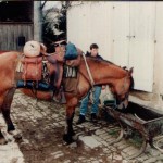 selle equitation hugues petel