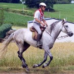 selle equitation hugues petel